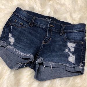 Hollister Shorts NWOT